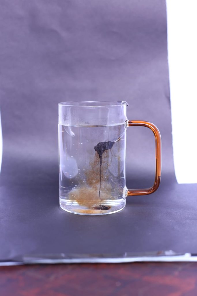 Shilajit resin preparation